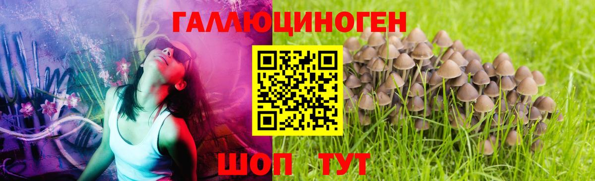 Галлюциногенные грибы мицелий  Вход с VPN  как найти   Топки 